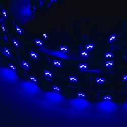 LED Galaxy strip 24v5050 300 SMD blue