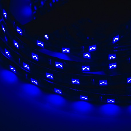 LED Galaxy strip 24v5050 300 SMD blue