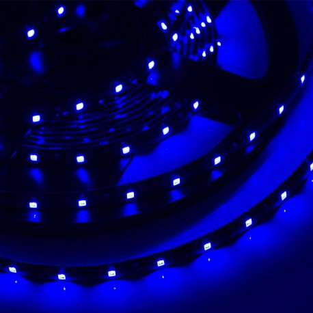 LED Galaxy strip 3528 300 SMD blue