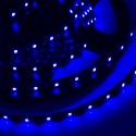 LED Galaxy strip 3528 300 SMD blue