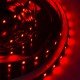 LED Galaxy strip 3528 300 SMD red
