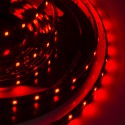 LED Galaxy strip 3528 300 SMD red
