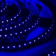 LED Galaxy strip 3528 600 SMD blue