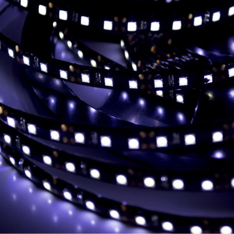LED Galaxy strip 3528 600 SMD white