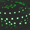 LED Galaxy strip 5050 300 SMD green