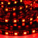 LED Galaxy strip 5050 300 SMD red