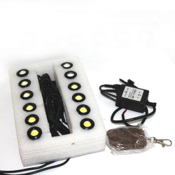 DRL Mitsumi 6-8 Flash