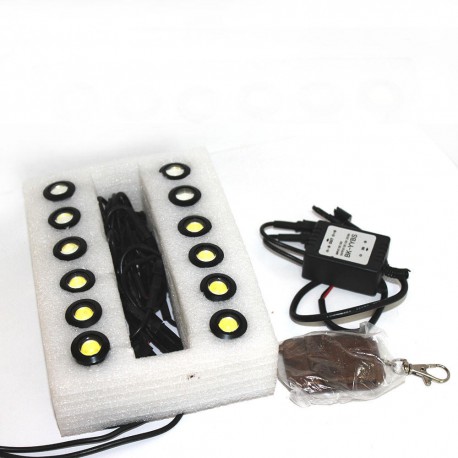 DRL Mitsumi 6-8 Flash