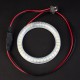 Ангельські очі Mazda 6 (02-08) SMD White (Білі)