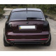Skoda Octavia A5 задня LED червона тонована